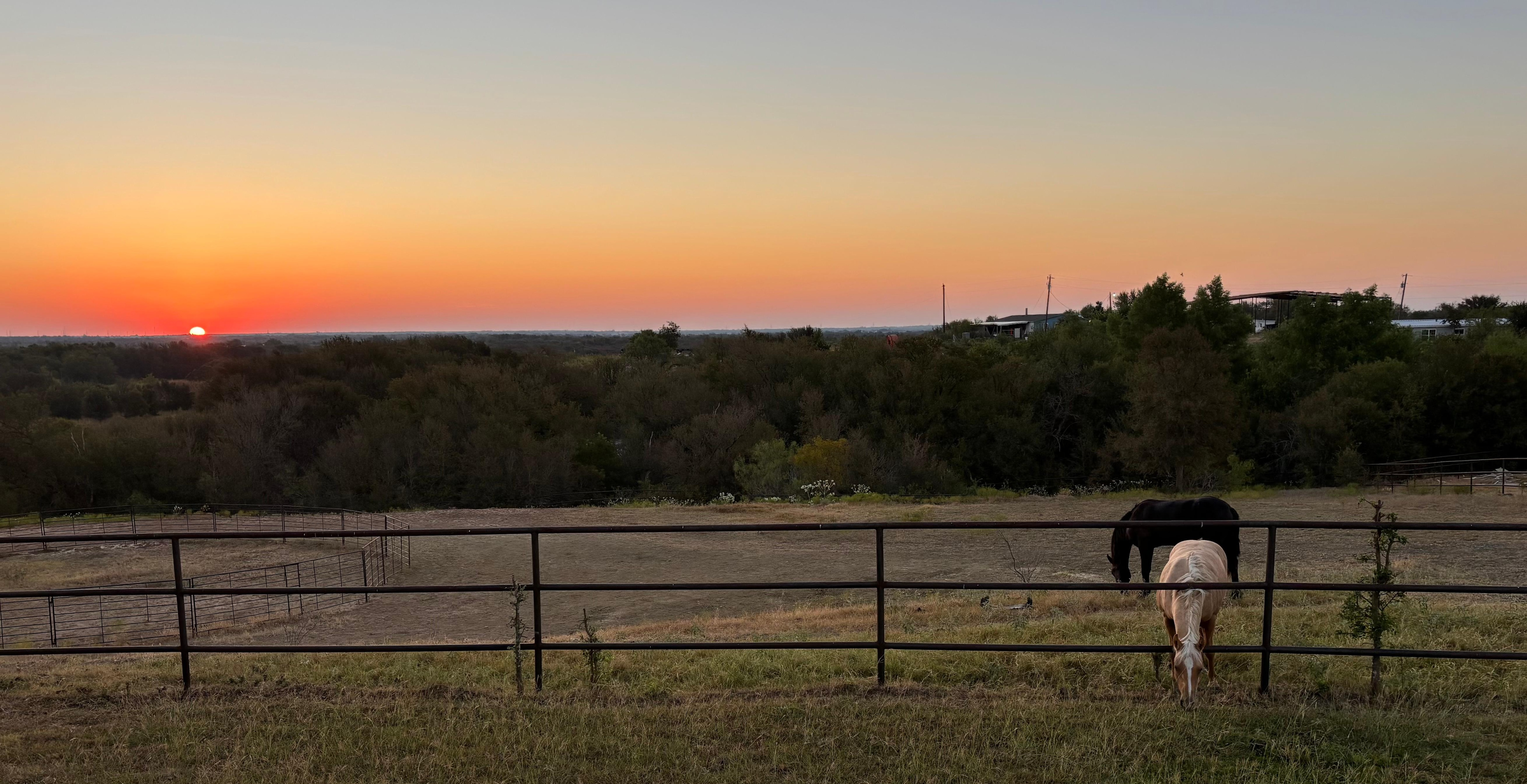 Even some horses to add to the peace! 