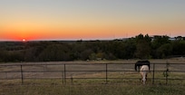 Even some horses to add to the peace!