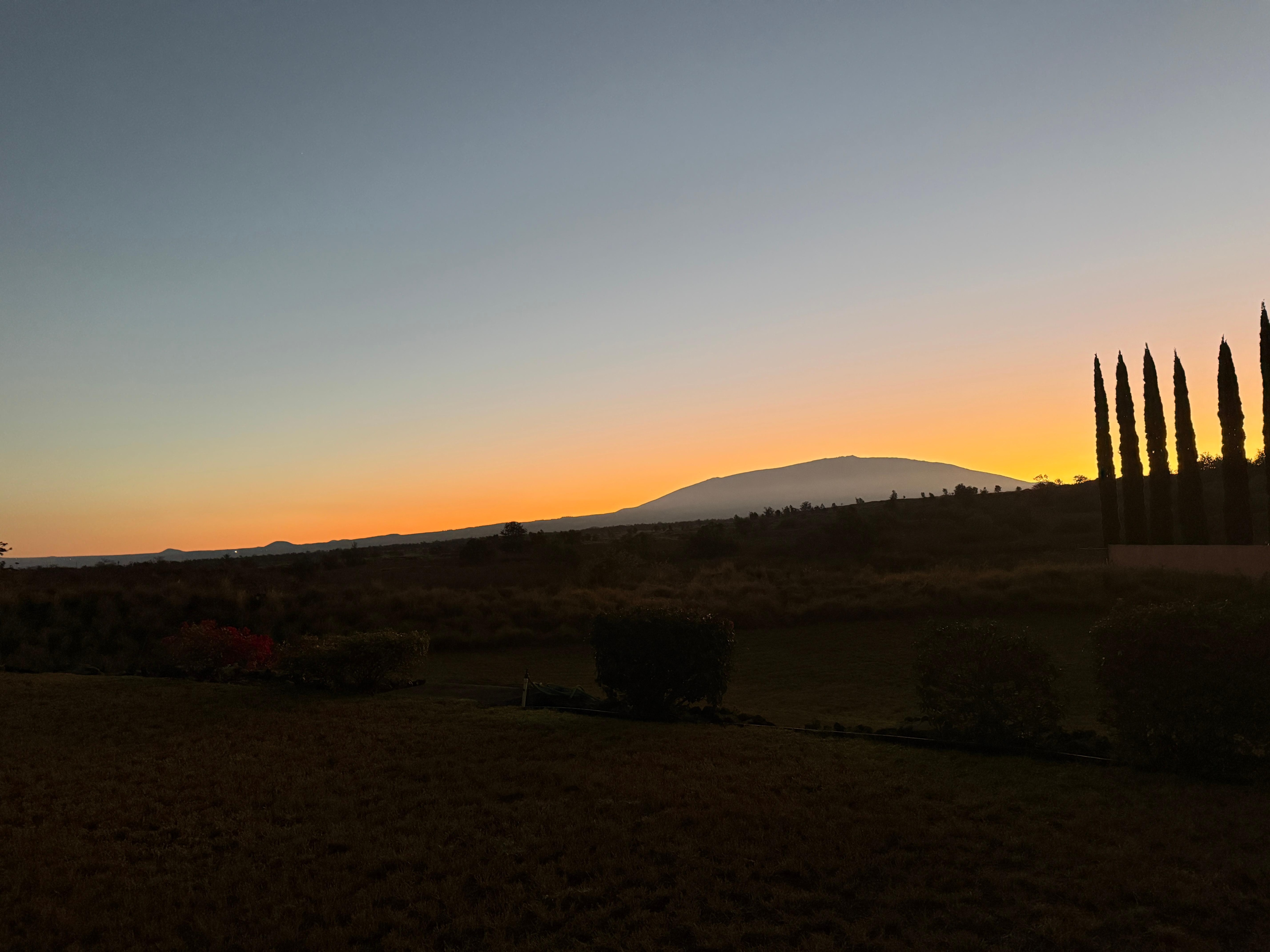 Breakfast on the lanai.