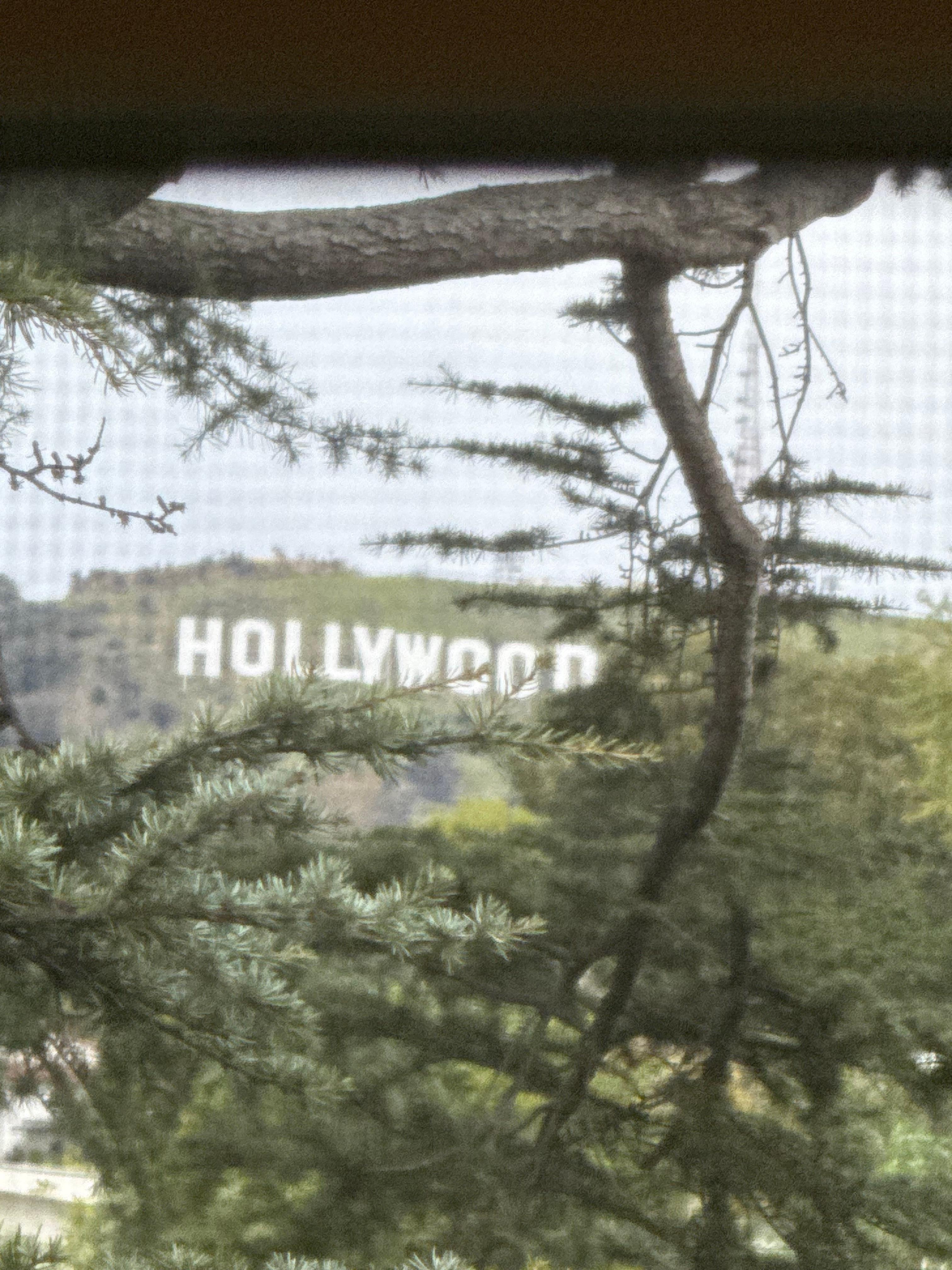 Hollywood Sign thru kitchen window!