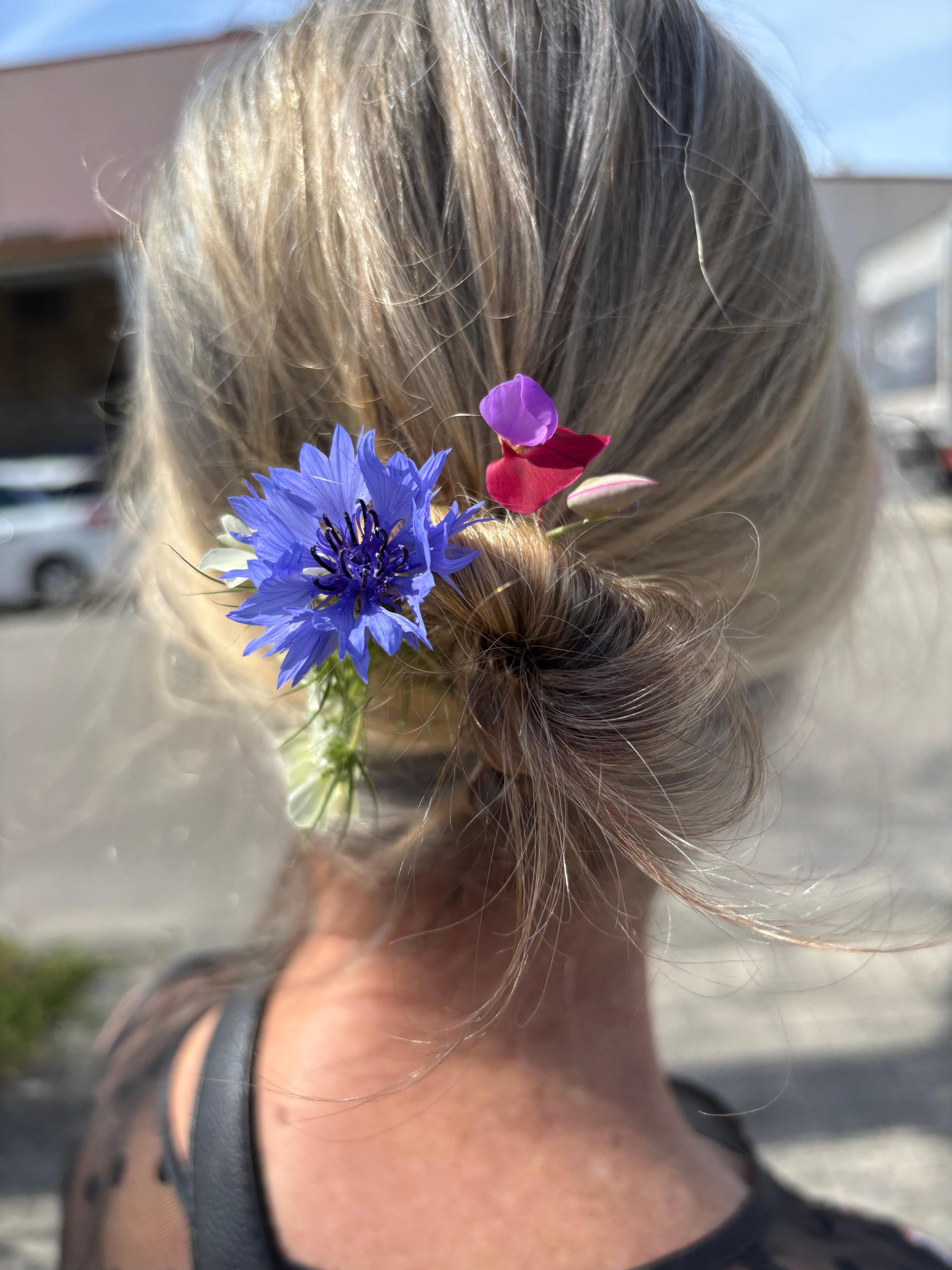 Flowers picked along the walkway 