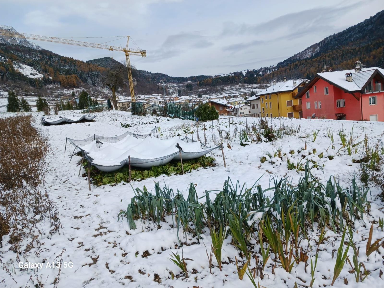 I famosi orti della Val di Gresta