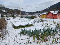 I famosi orti della Val di Gresta