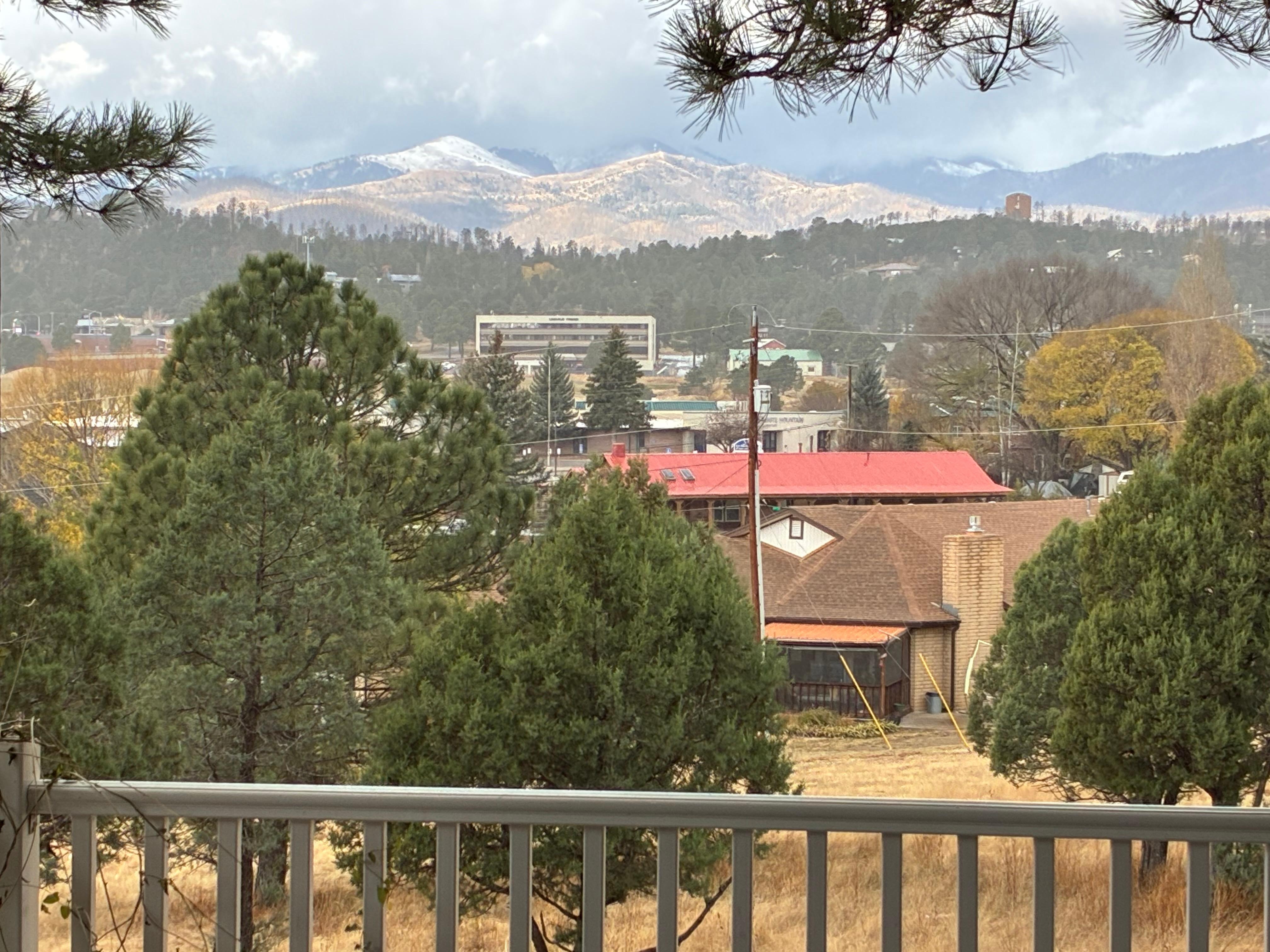  View from the back porch.