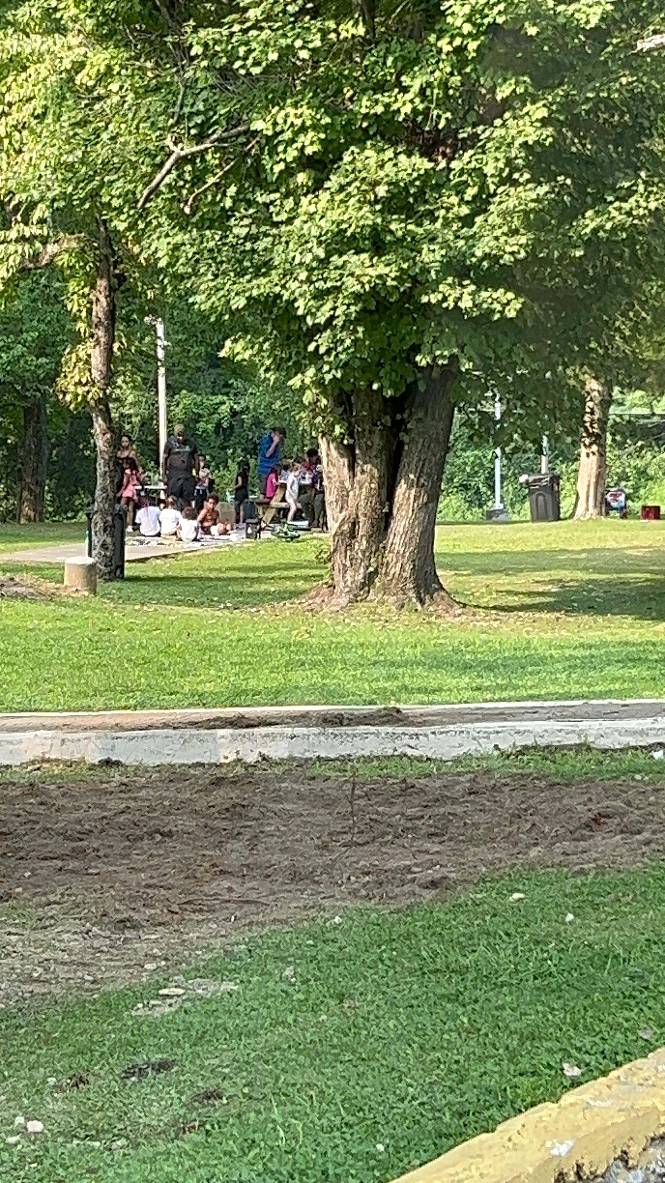 Picnic table with occupants.