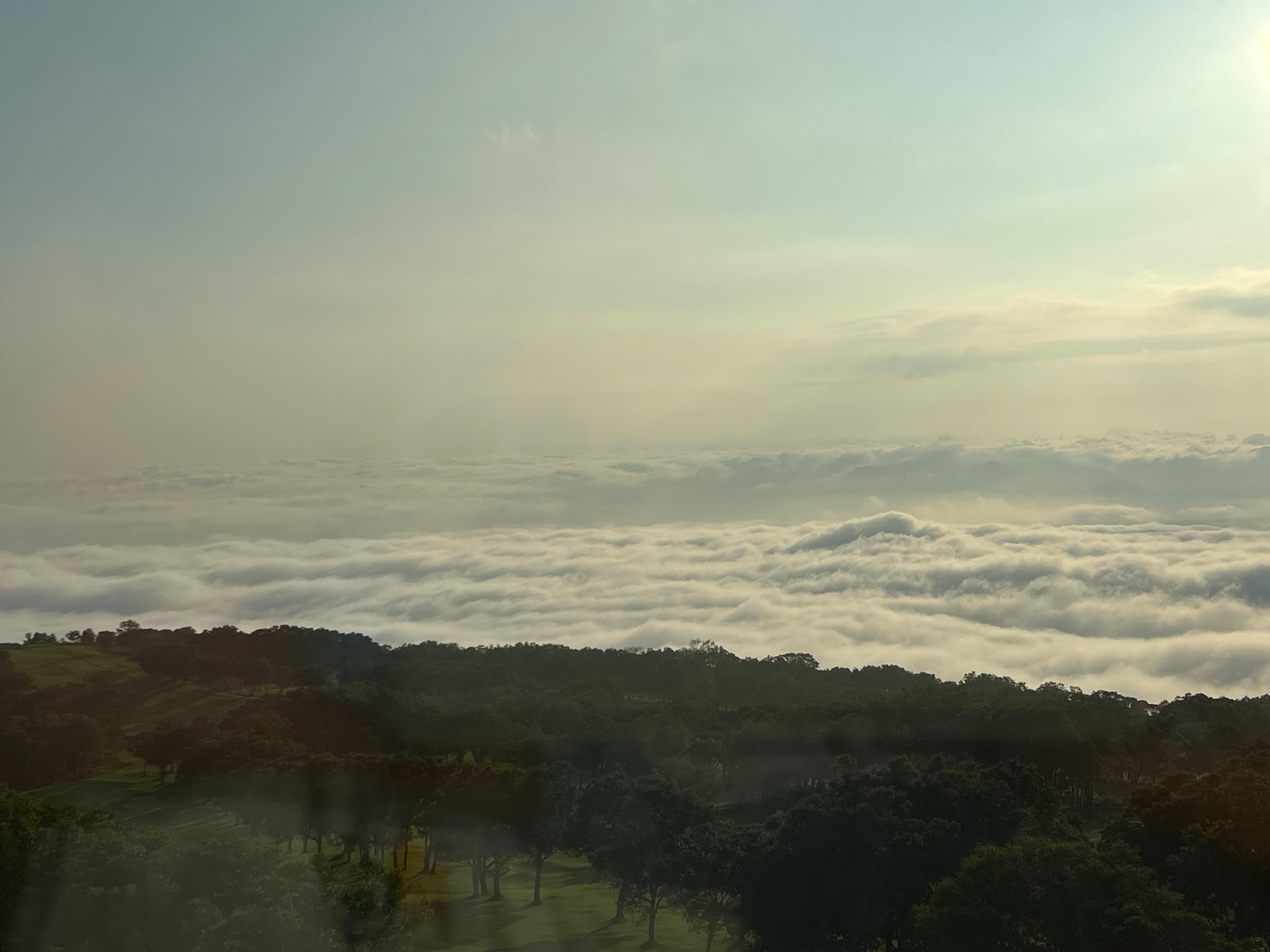 海側の雲海は日毎時間毎に変わります。