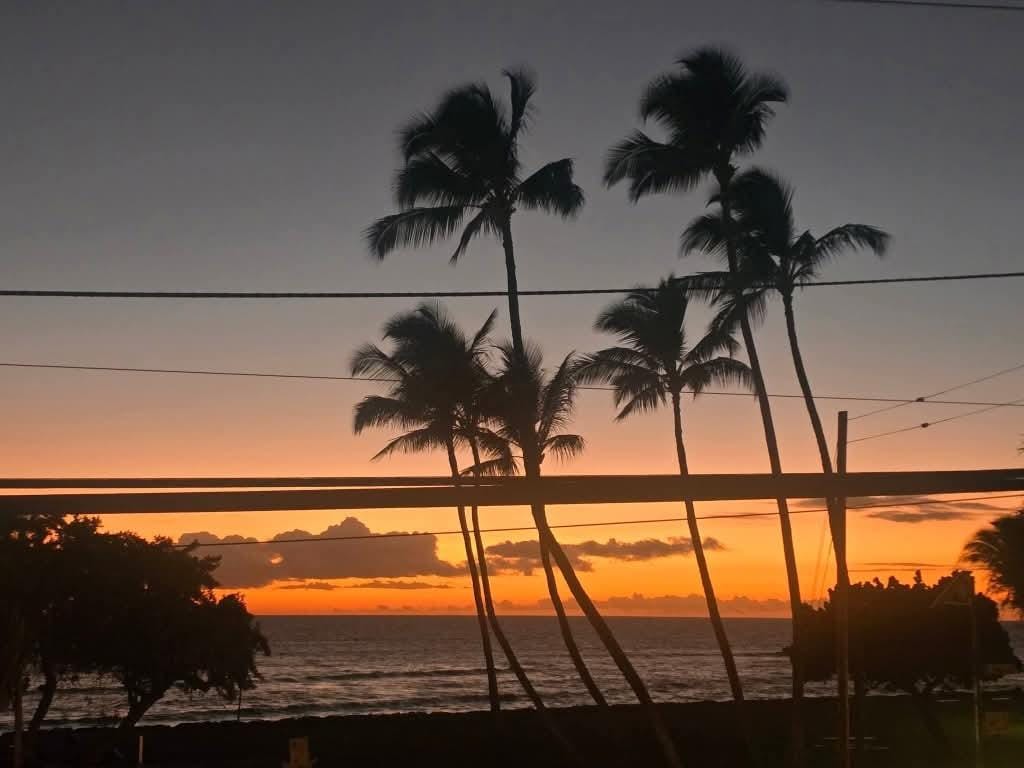 Pics from the lanai