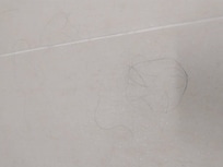 Bathroom wall had previous guests hairs left on the wall