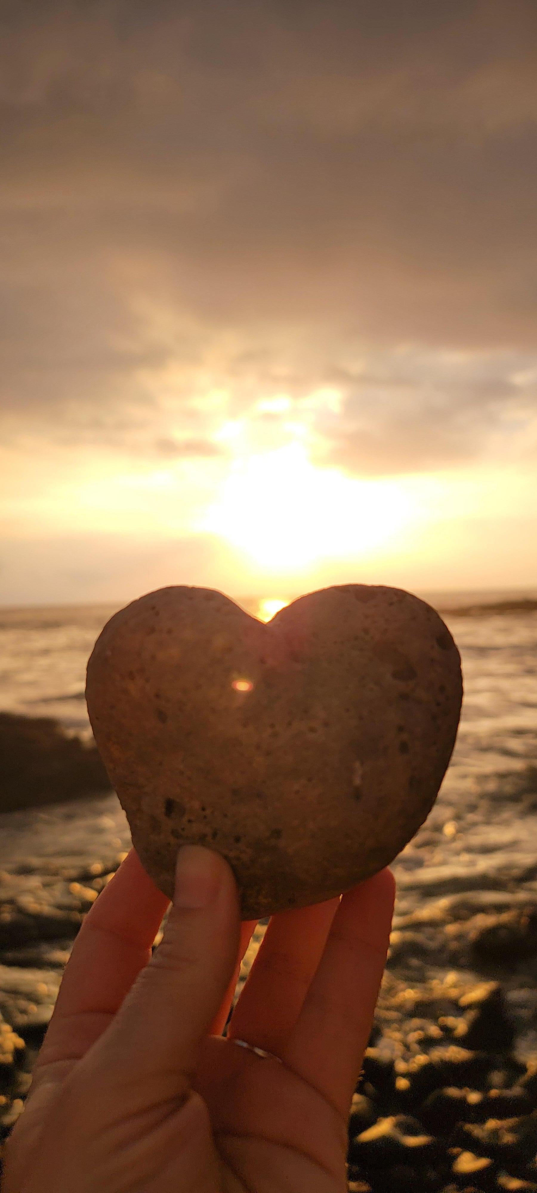 Beautiful beach find. 