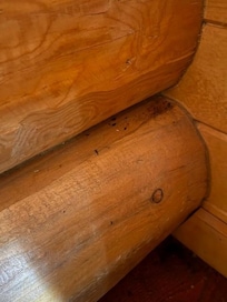 Every single corner of every single room in the house looked like this. NO JOKE