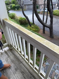 Exterior needs cleaned