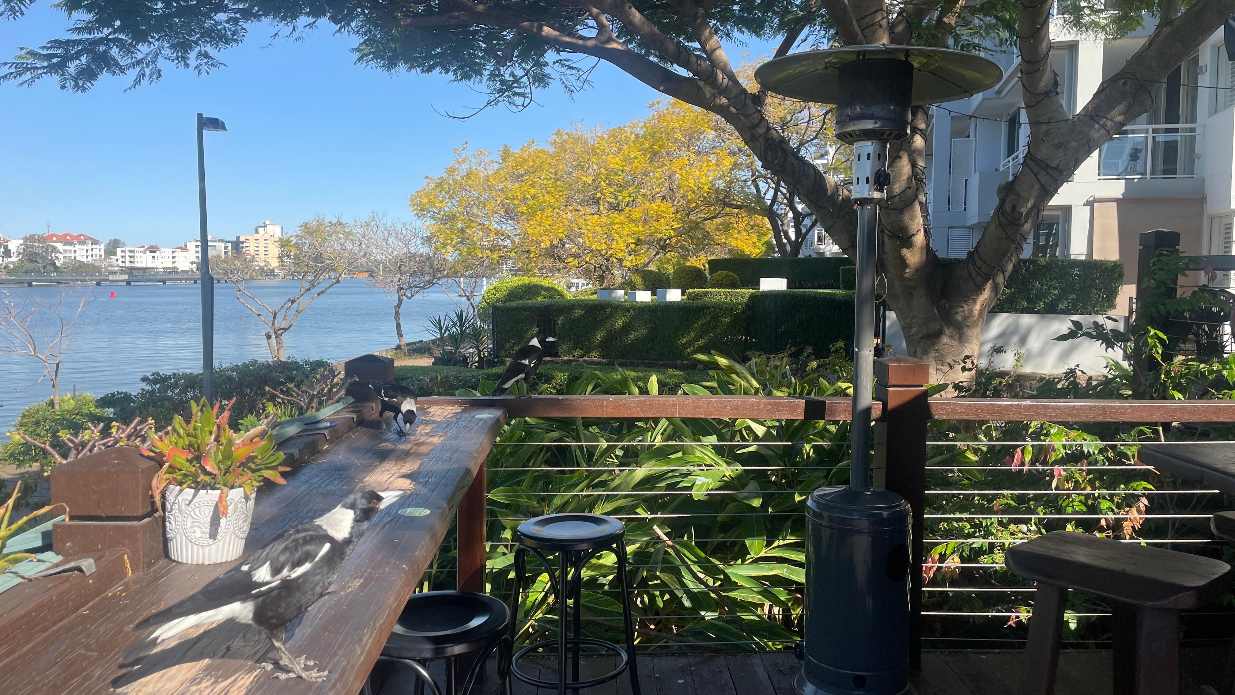 Medley cafe - 5 minutes away for breakfast/ lunch/drinks