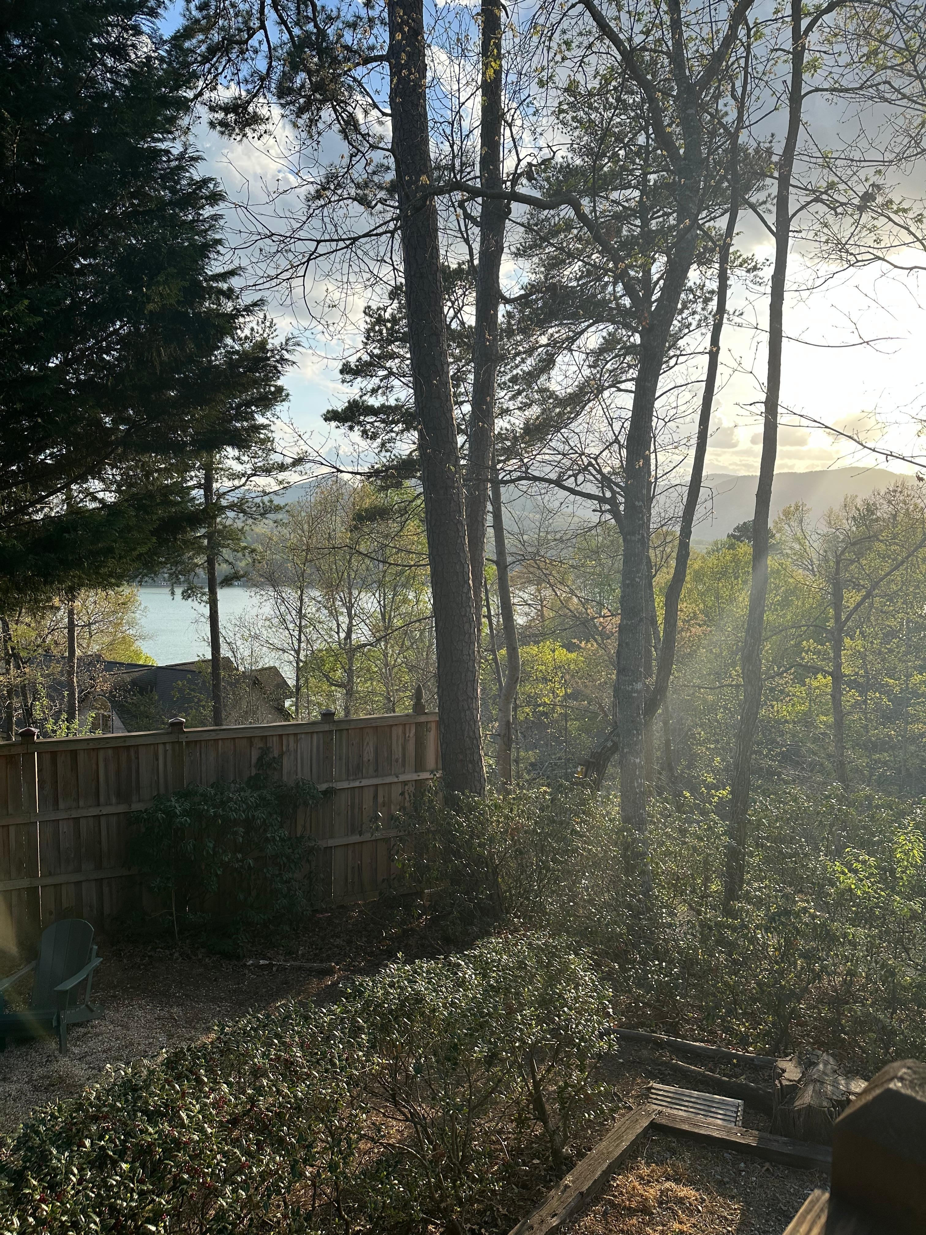 View from porch 