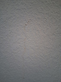 Stains on walls...in multiple places