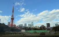 Nice view from the room.