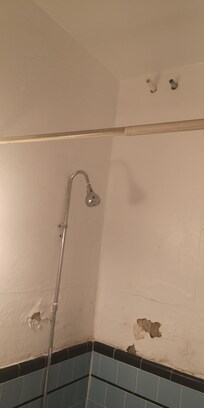 Enduit décollé murs de la douche