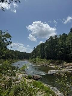 Hiking Trail Near Cabin