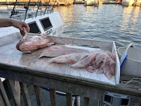 Charter captains will prepare your catch