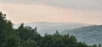 Misty morning