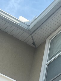 Bee hives in the eaves.