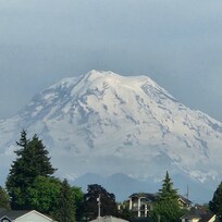 View of Mt. Rainer from room.