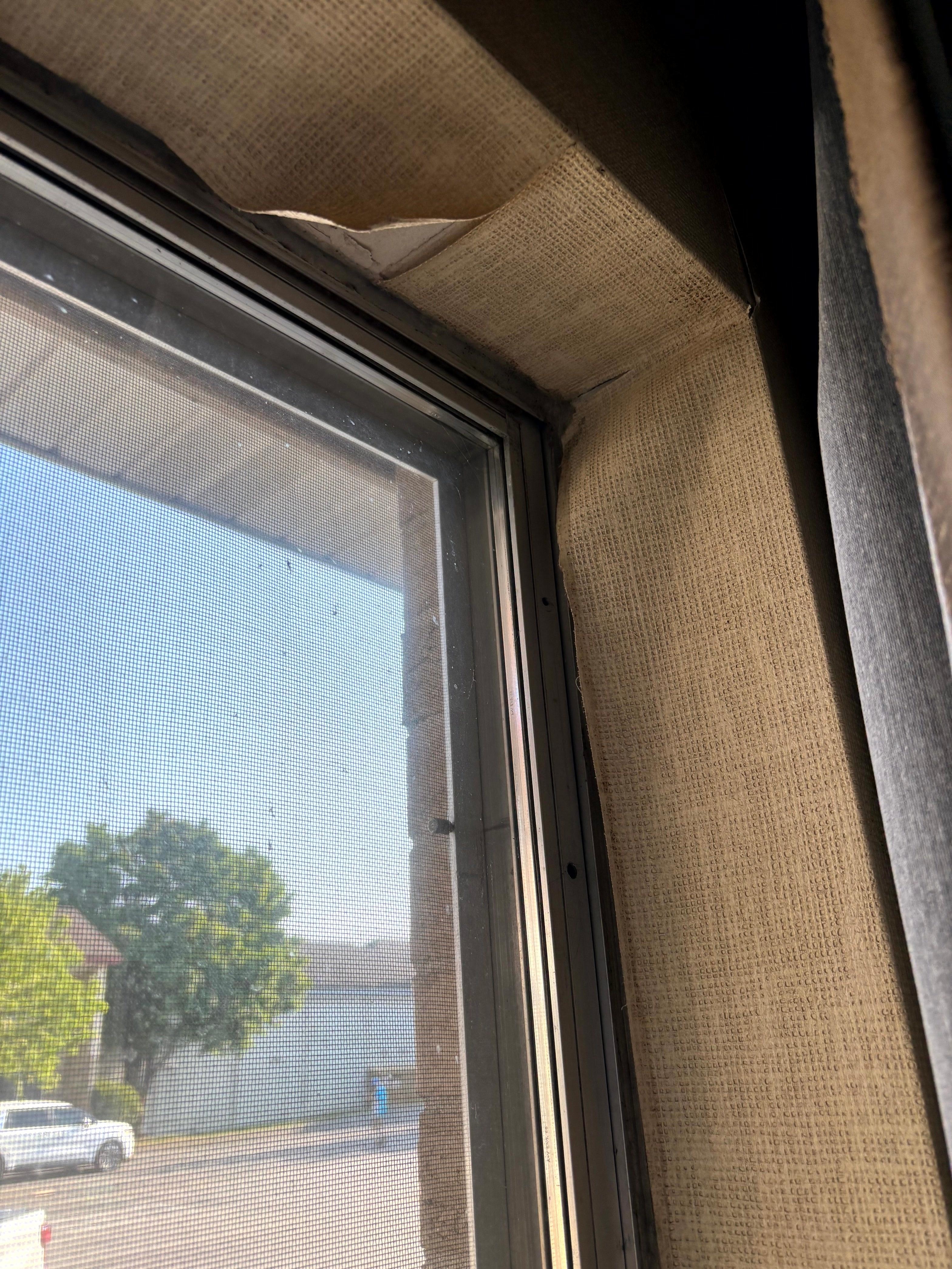 Front Window