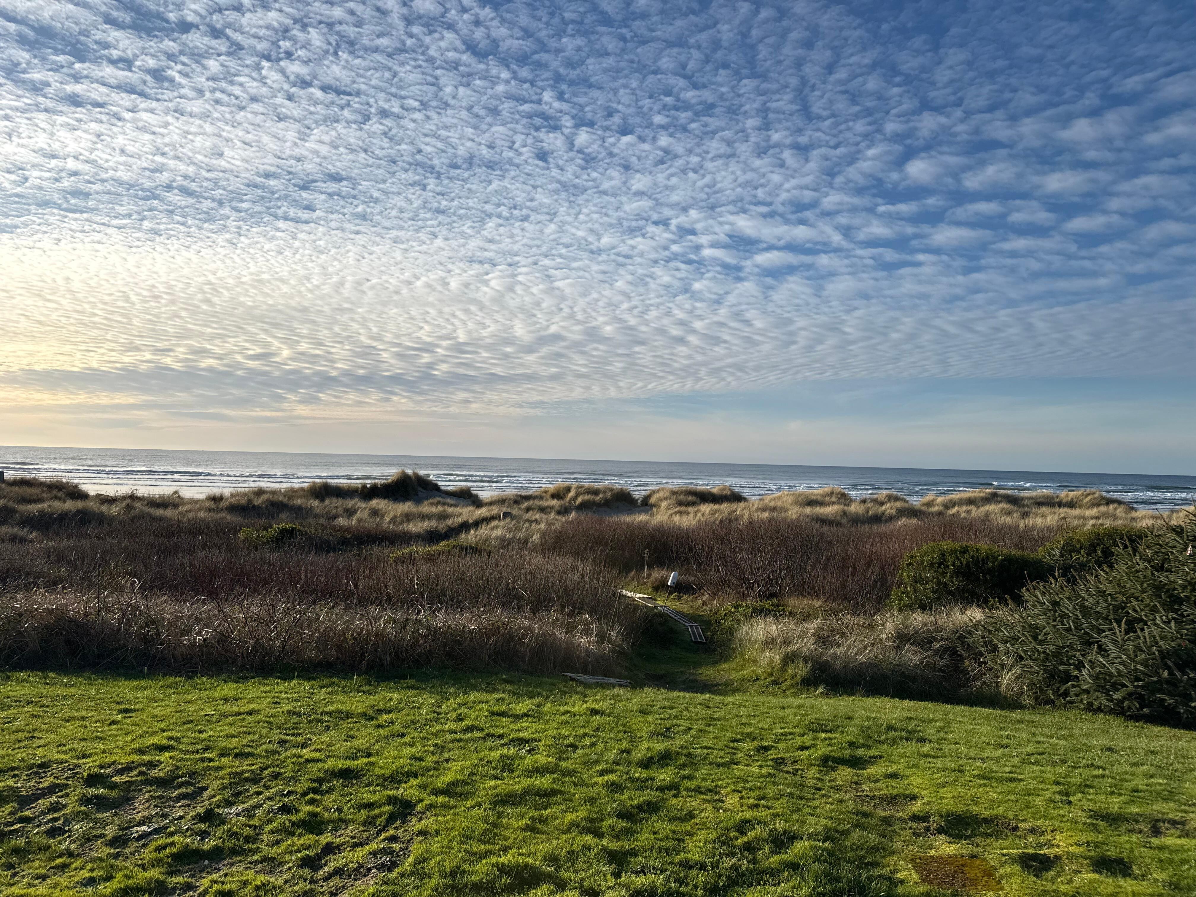 Daytime from the back deck. 