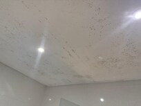 Bathroom ceiling