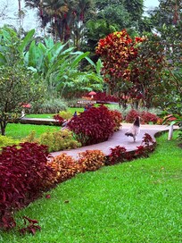 Walkway