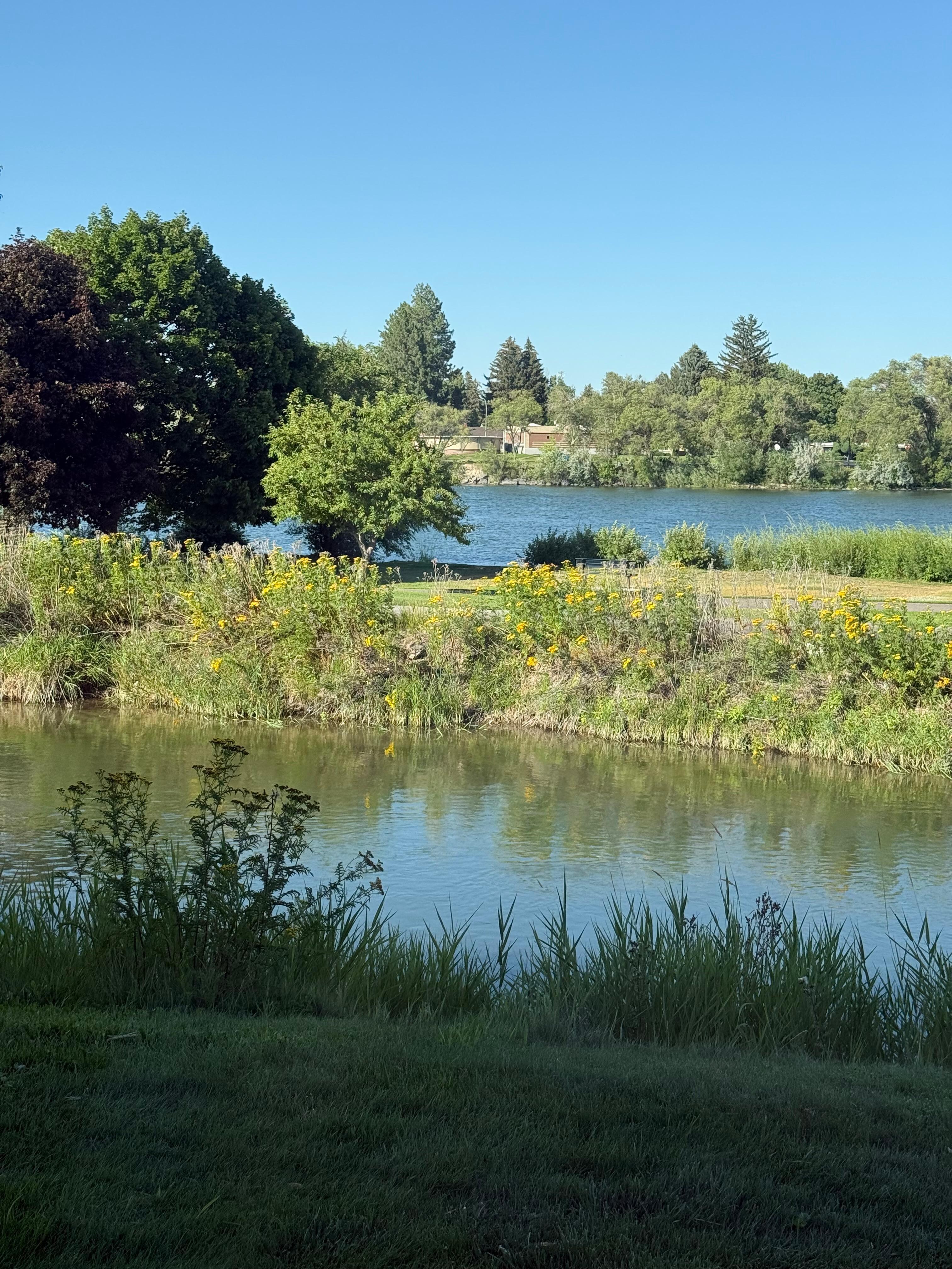 Outside the hotel window