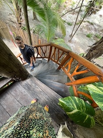 Garden view rooms of main building. Upper level.