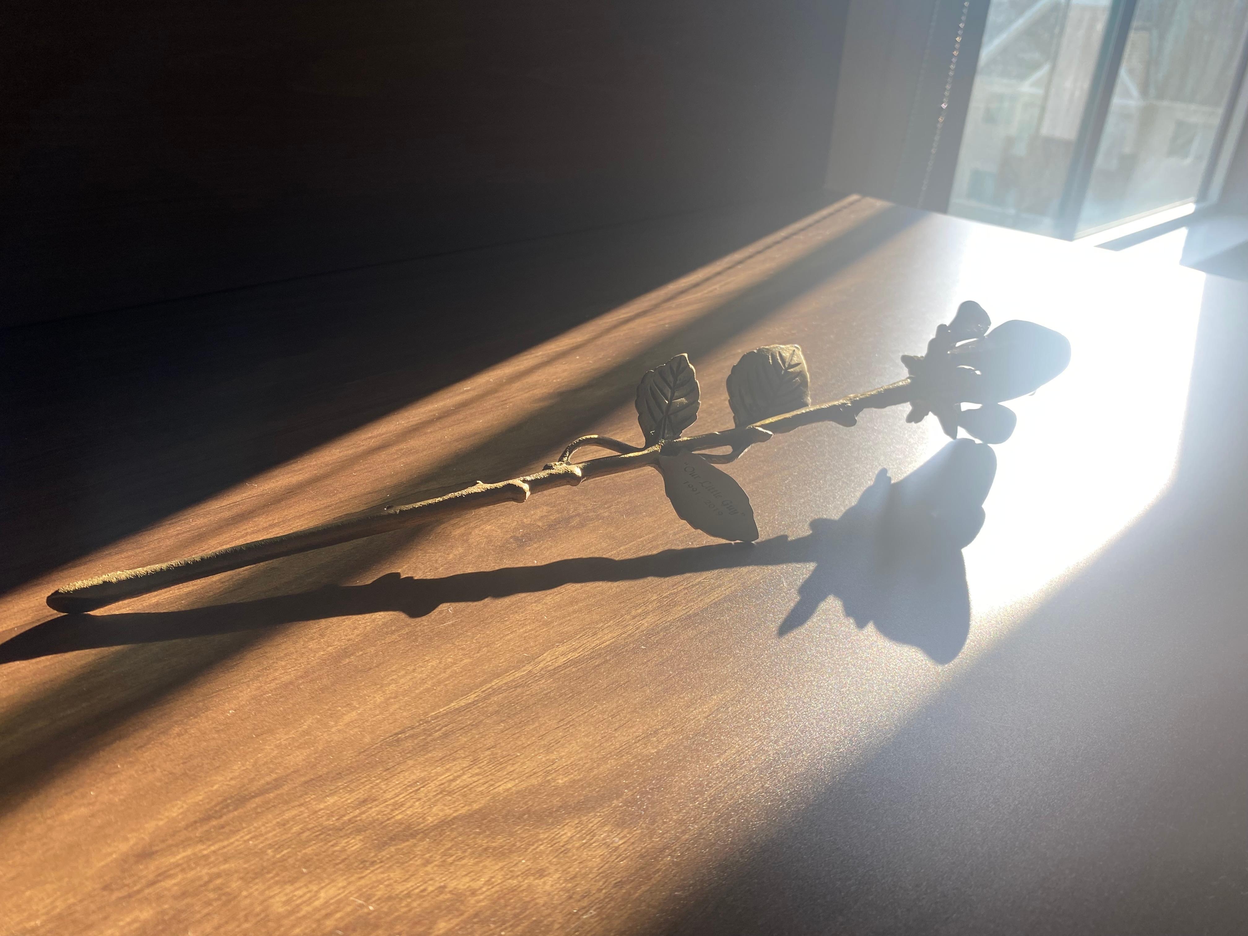 Missing Our son remembering His Legacy 🥹