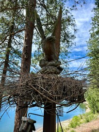 Hostâs eagleâs nest (we saw many)