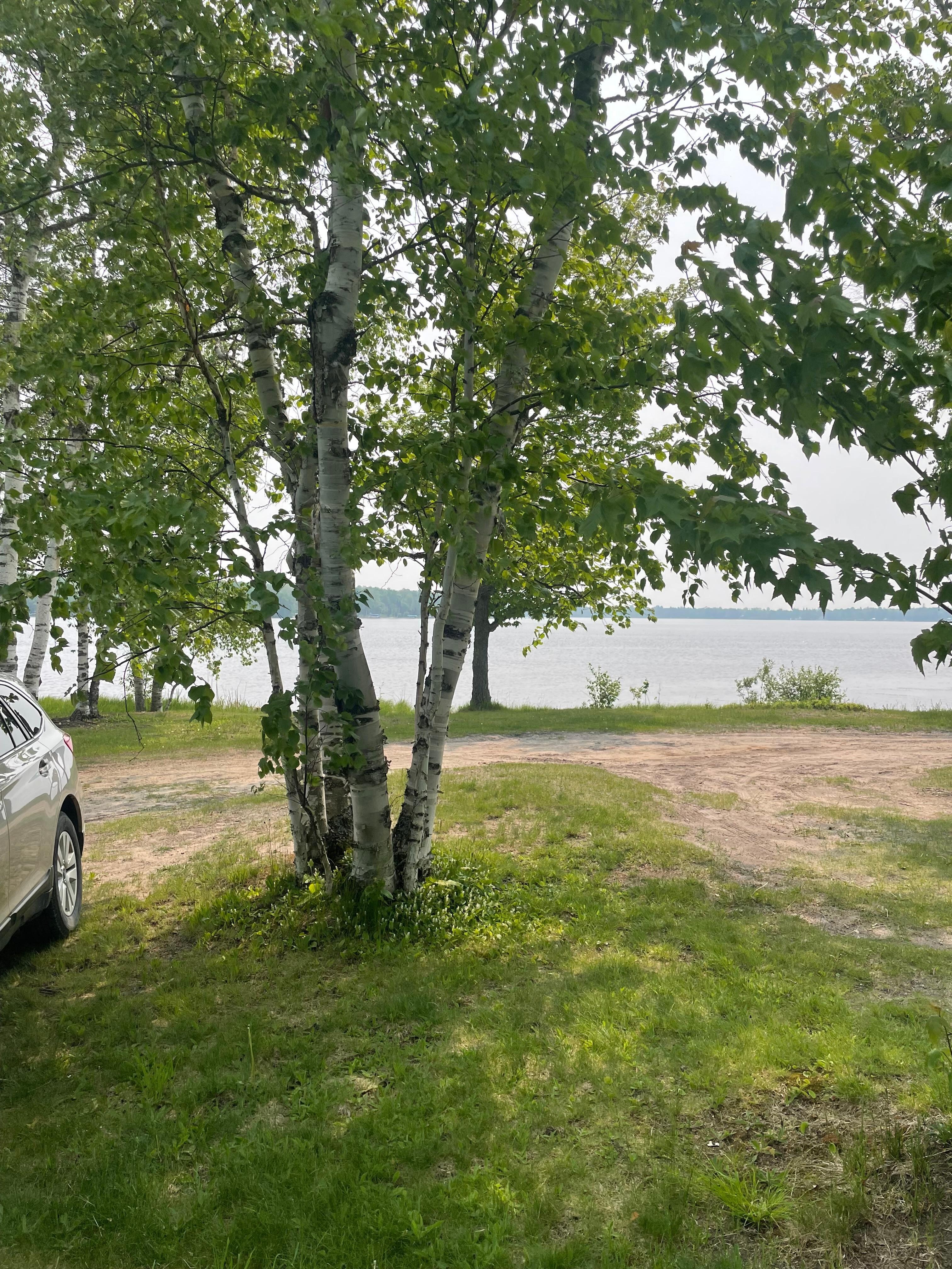 View from motel porch