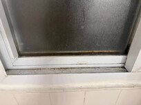 Black mold in the bathroom