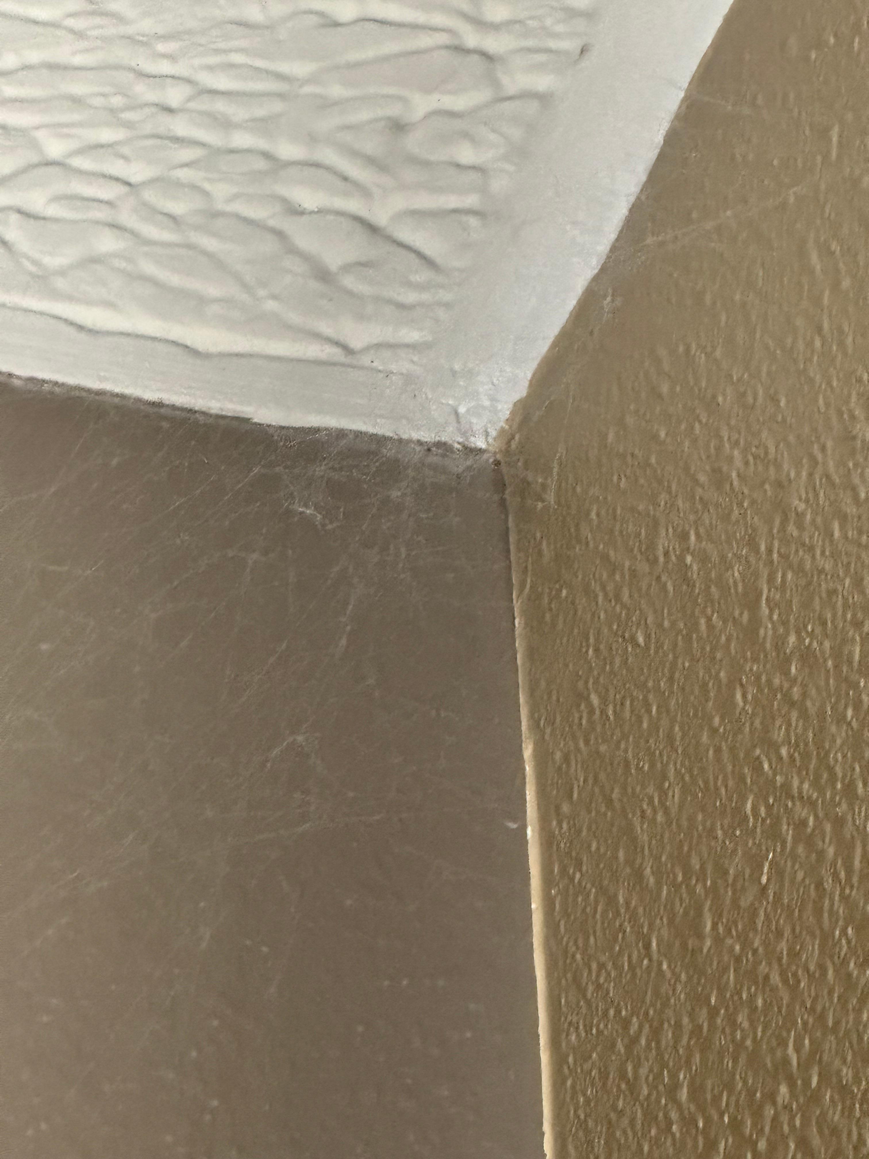Cobwebs