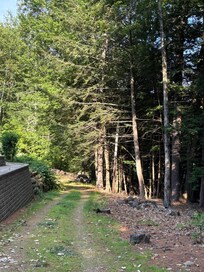 Driveway to lake house