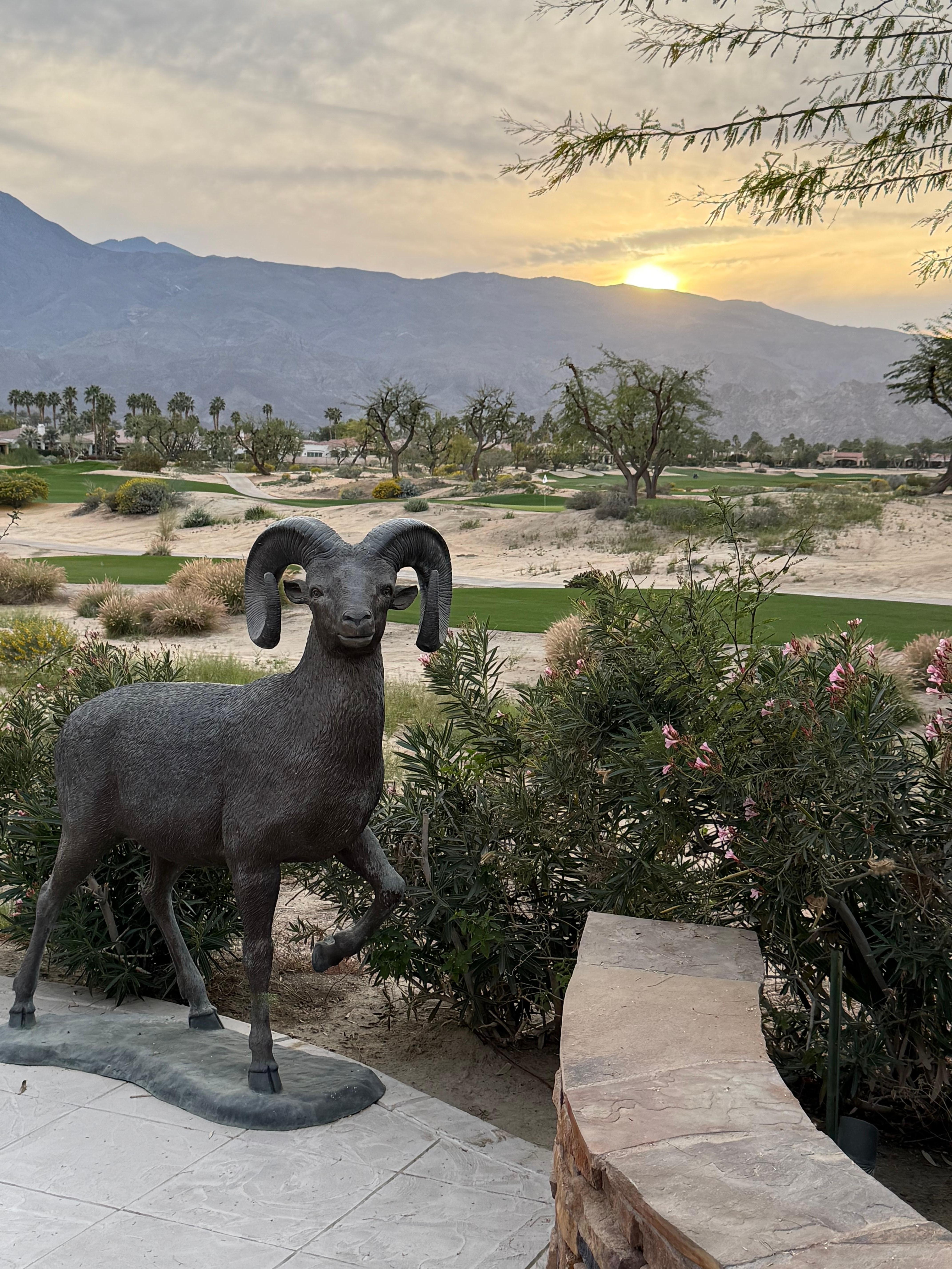 630 am from the patio.  BEAUTIFUL!