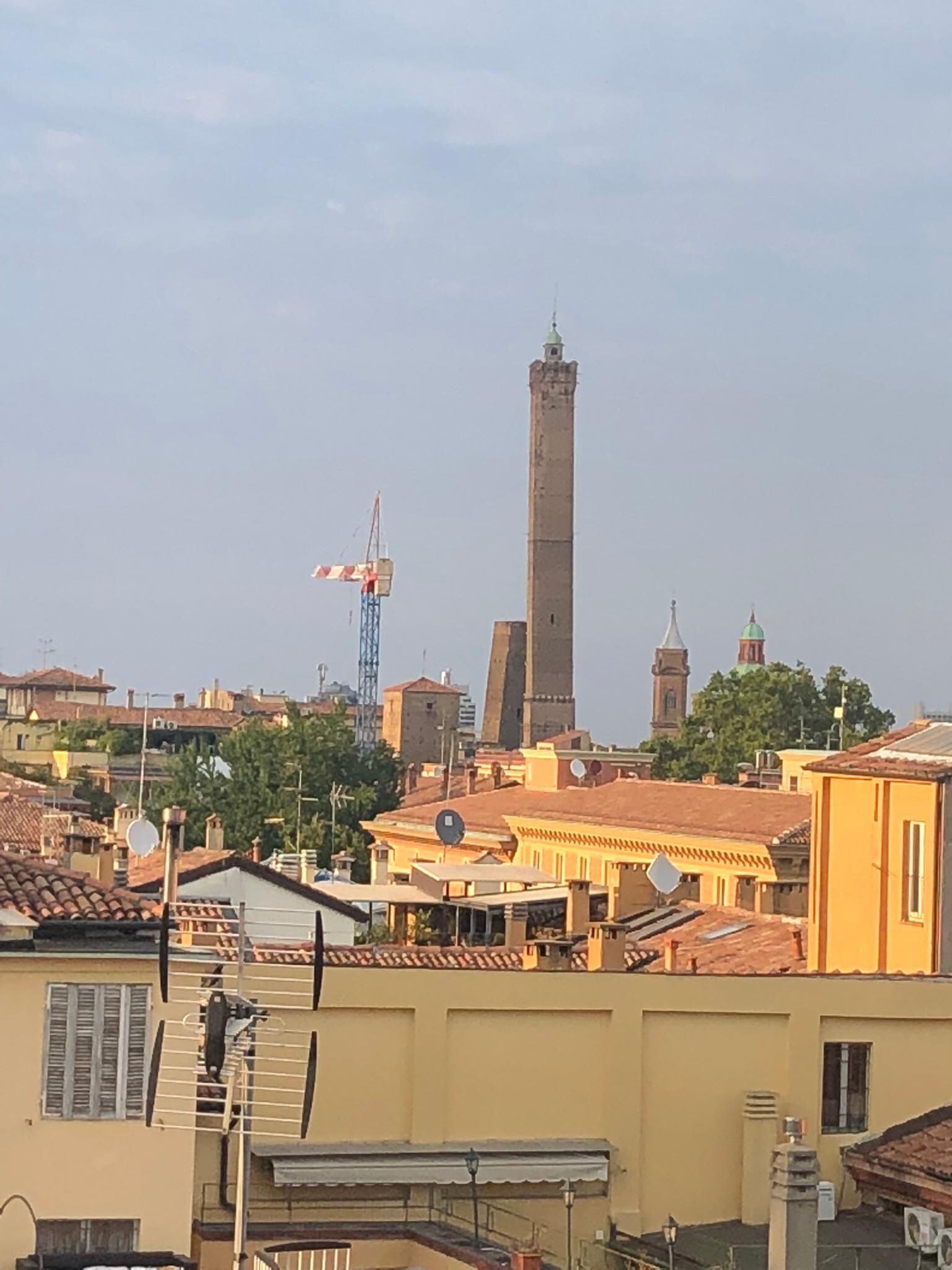 View from the roof