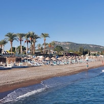plage astérie