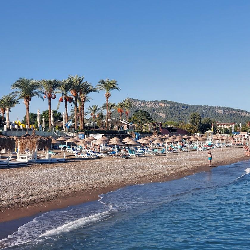 plage astérie
