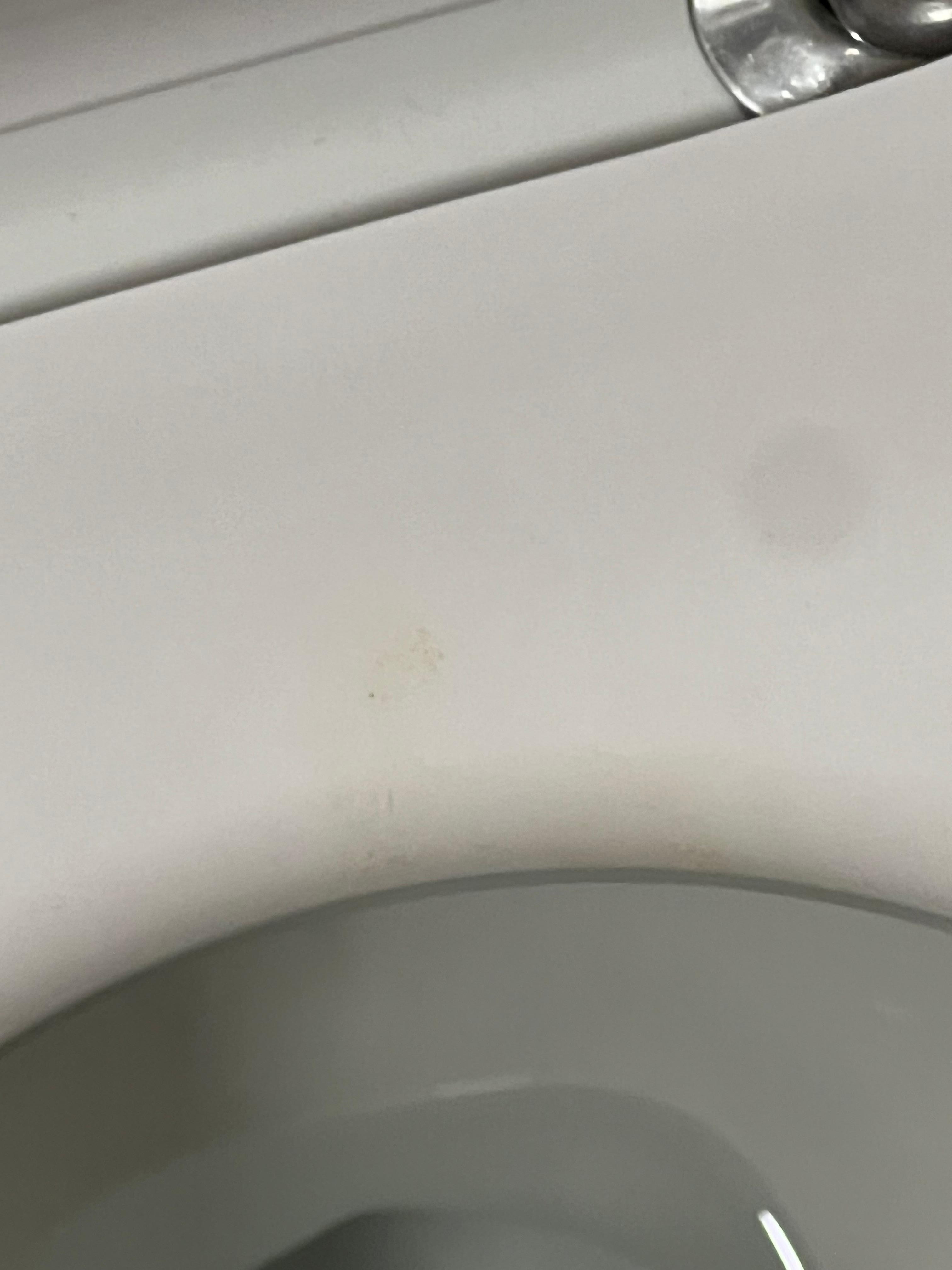 Poop stain on toilet seat. 