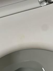 Poop stain on toilet seat.