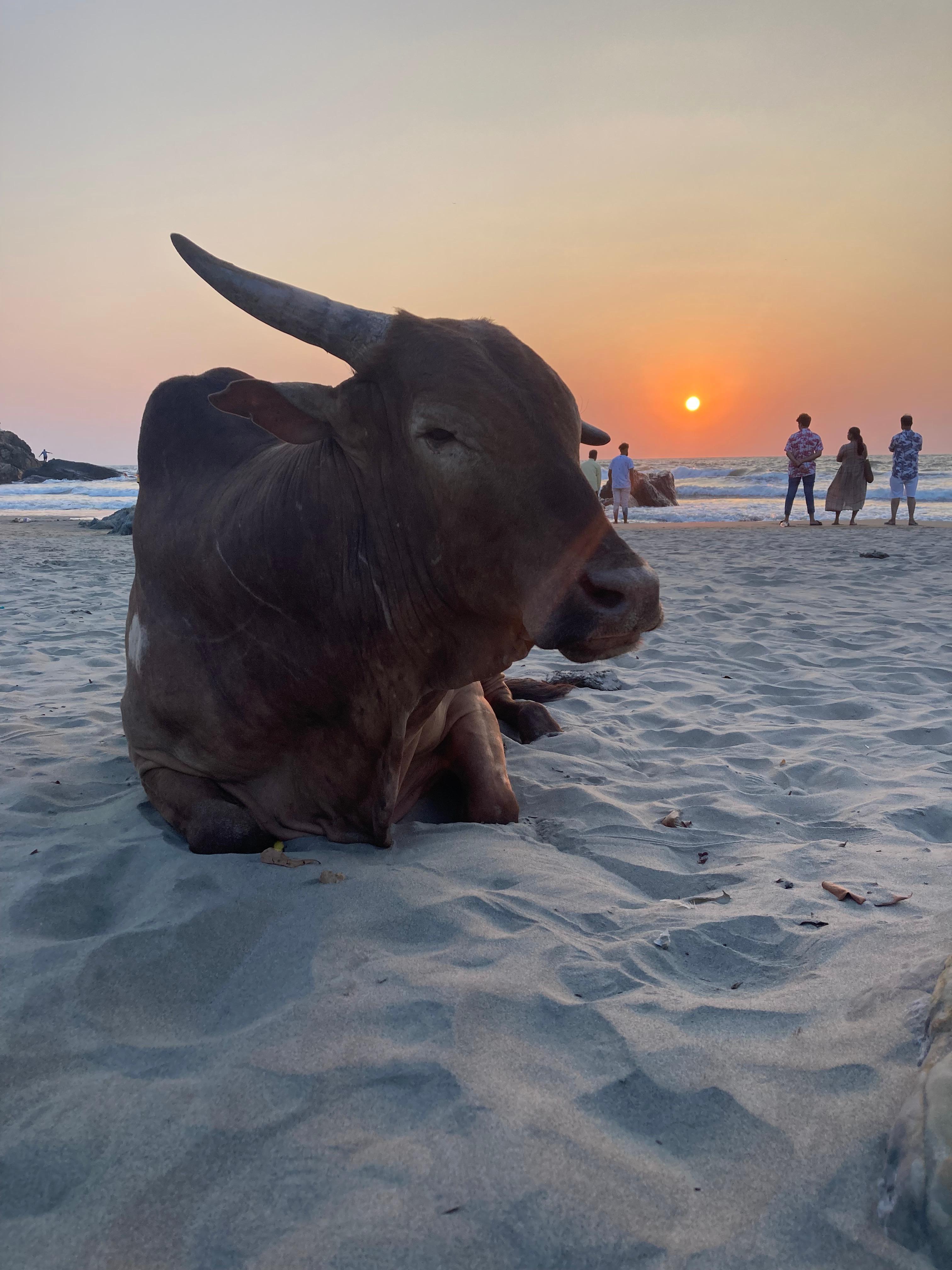 Sunset on Vagator beach