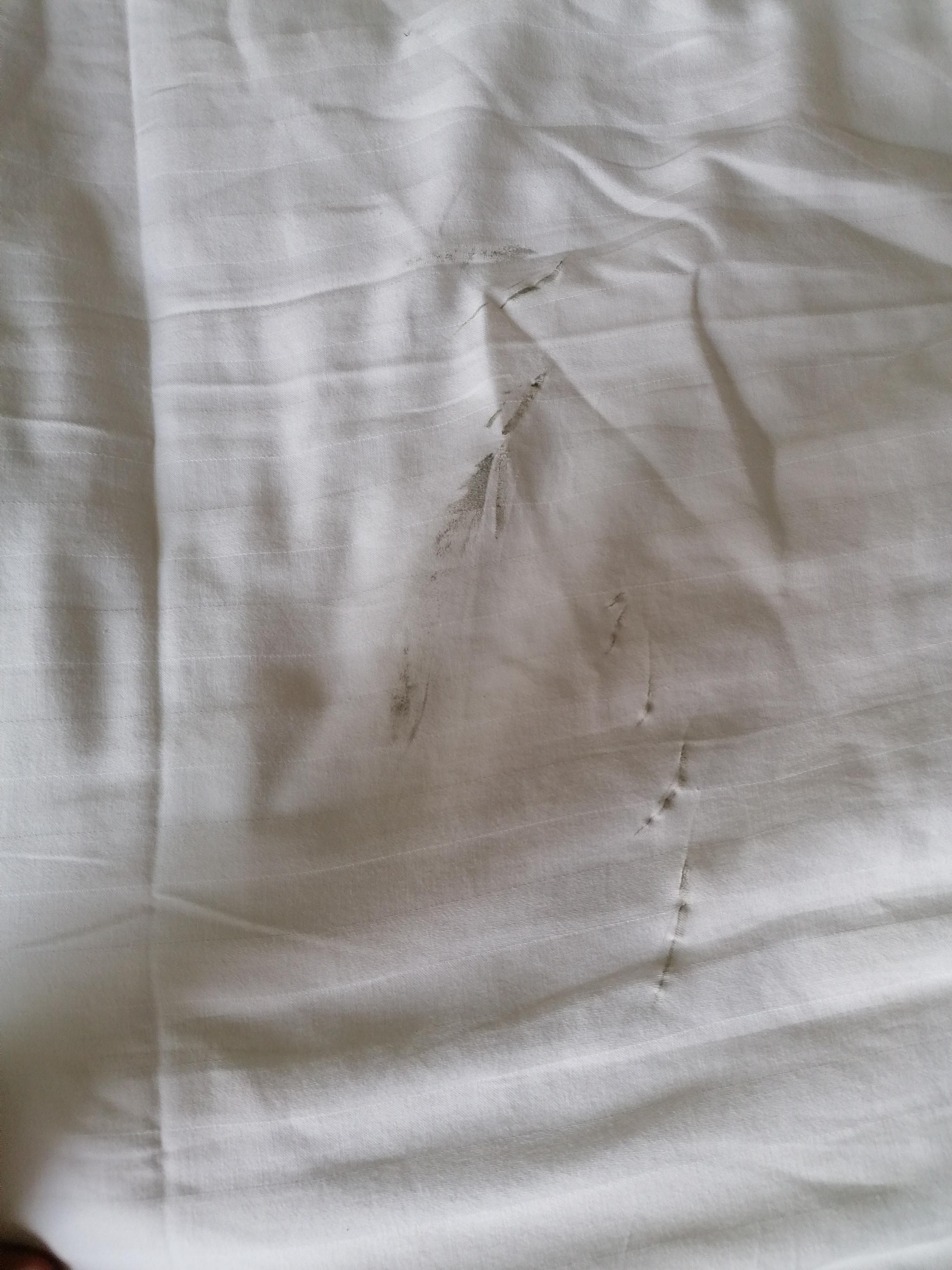 Worn and stained sheets (on check-in) 