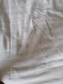 Worn and stained sheets (on check-in)