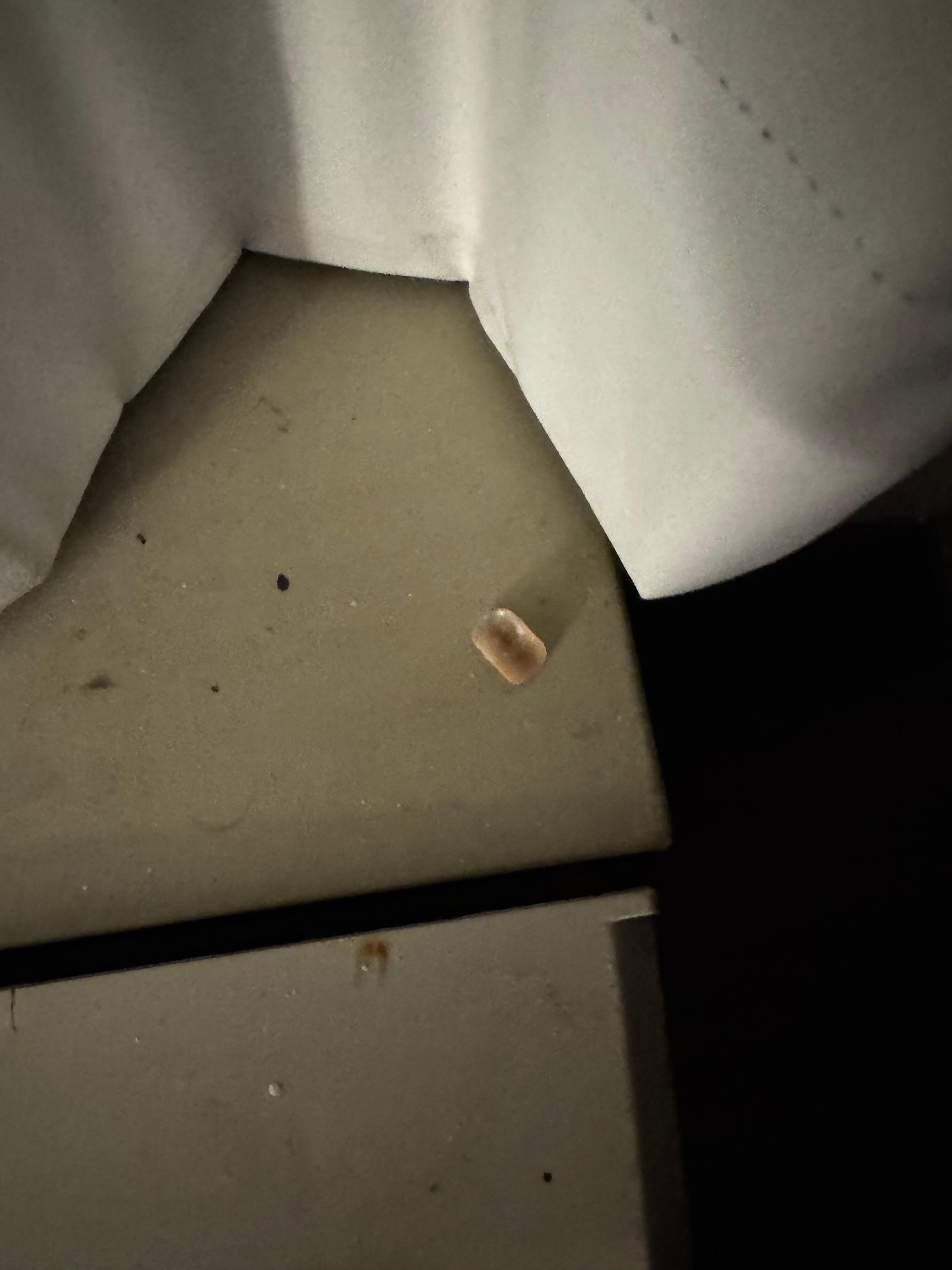 Fingernail in room