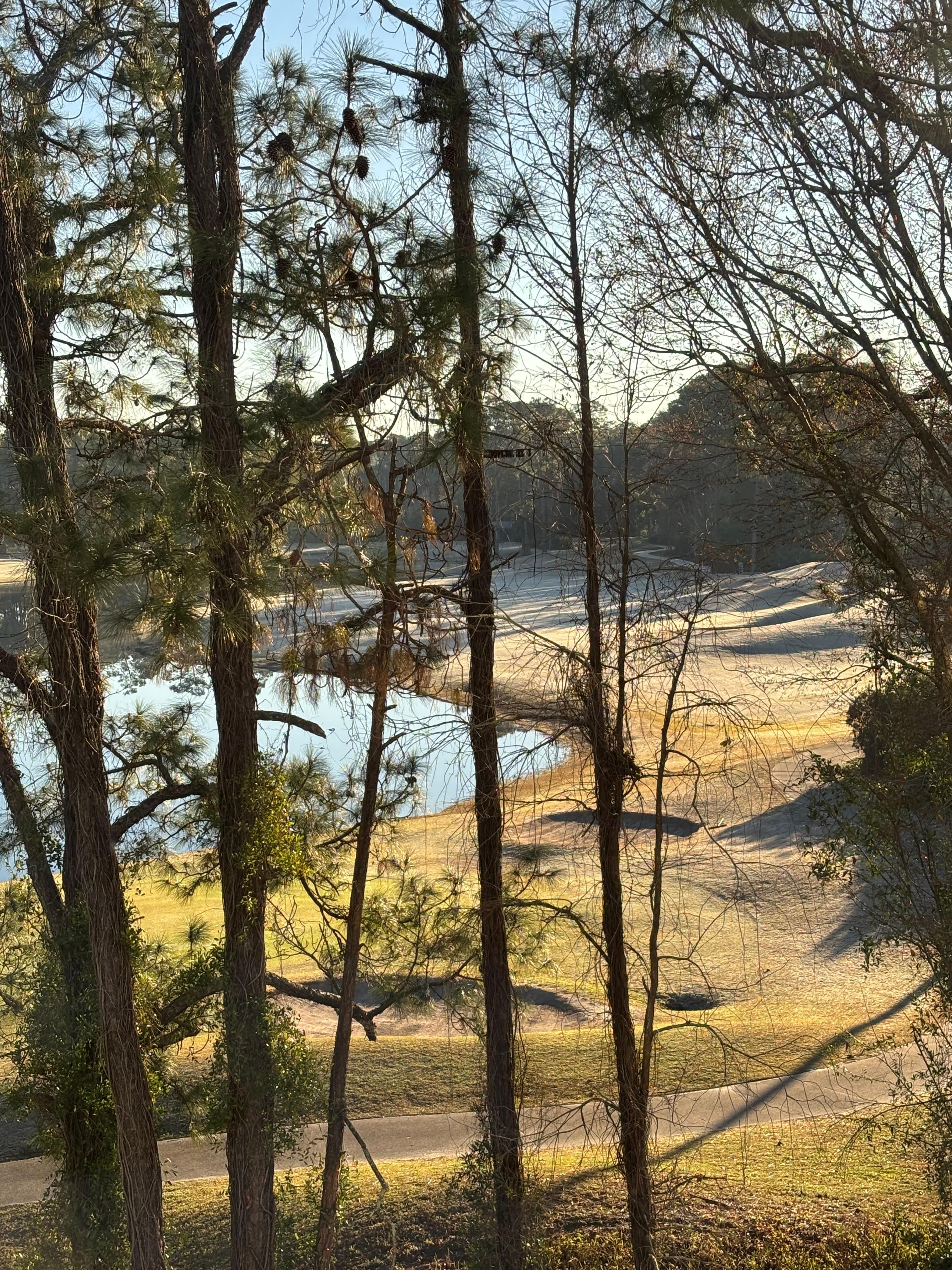 View from Room 414 Hilton Express near Mayo Clinic, Jacksonville, FL.