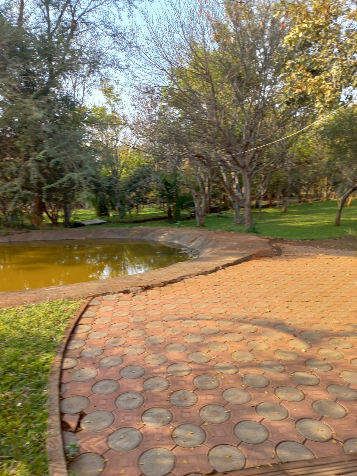 Pond area