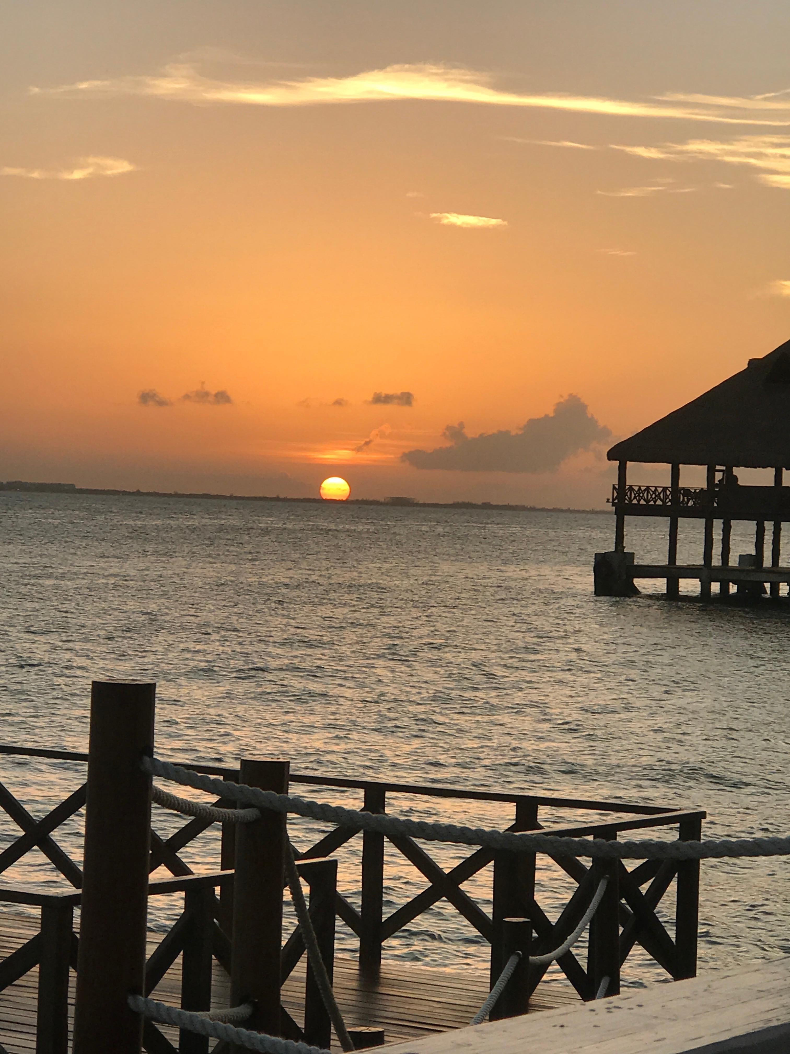 The view at dinner every night